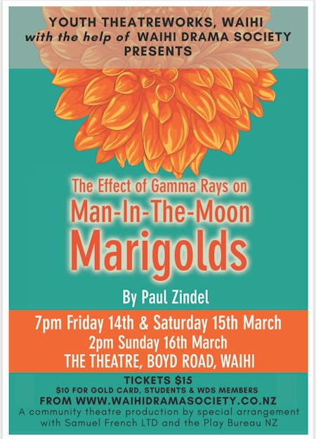 The Effect of Gamma Rays on Man-in-the-Moon Marigolds